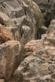 kenko_cuzco_006