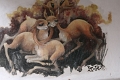 musee_ceramique_cuzco_006