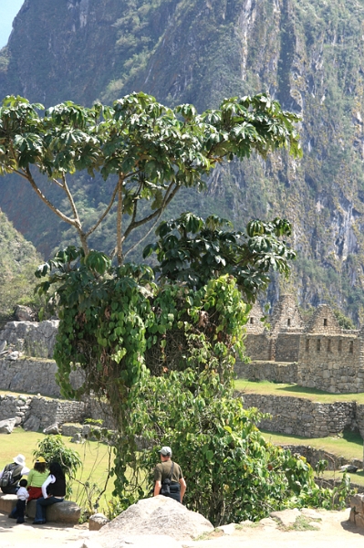 machu_pichu_016.JPG