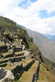 machu_pichu_021