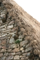machu_pichu_026