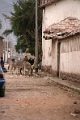 chinchero_001