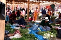 marche_de_hunchero_002