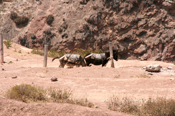 village_maras_001.JPG