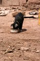 village_maras_003