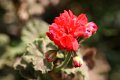 village_maras_008