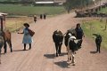 village_maras_009