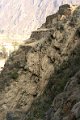 ollantaytambo_013