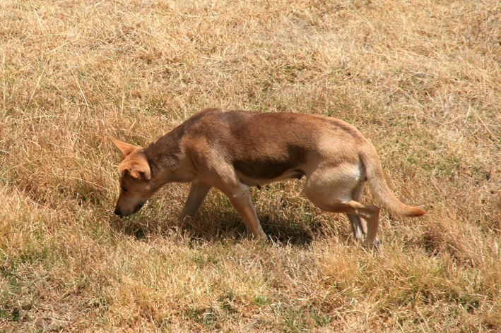 tipon_015.JPG