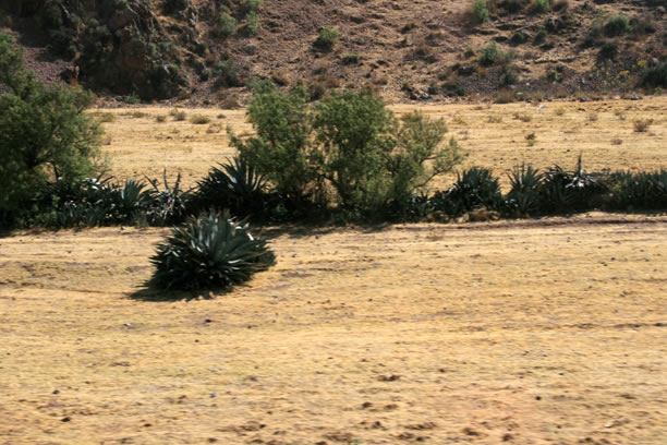 route_andahuaylillas_002.jpg