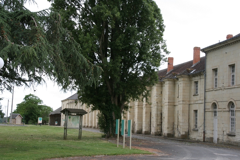 01-006.JPG