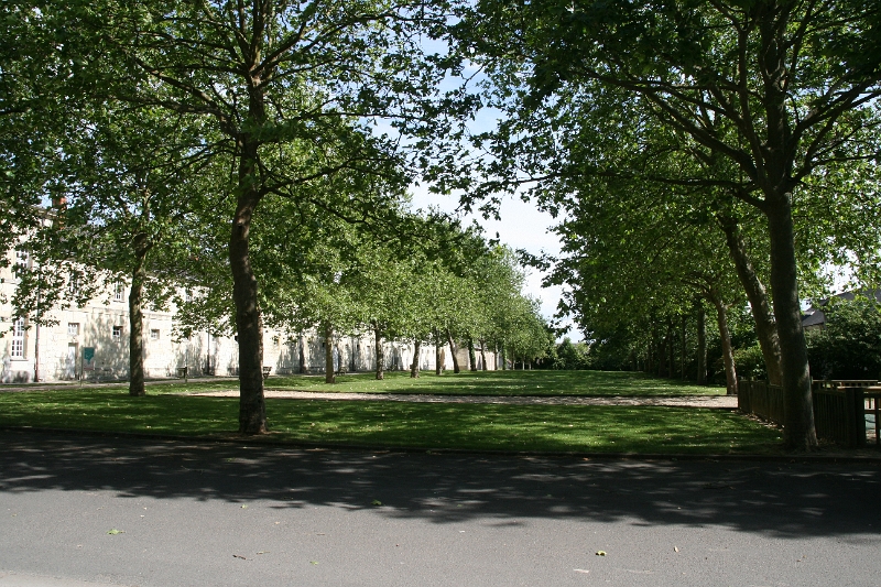 01-010.JPG