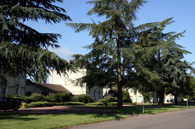 01-016.JPG