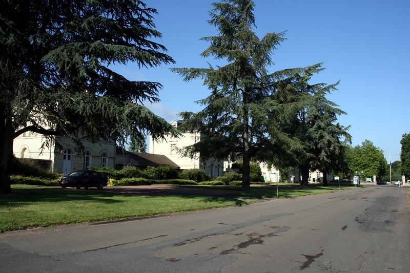 01-017.JPG