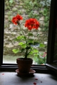 05-045