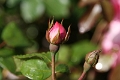 06-001