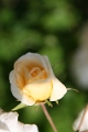 06-030