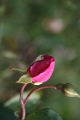 06-031