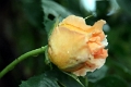 06-037