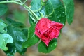 06-040