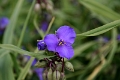 07-026