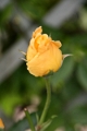 07-040