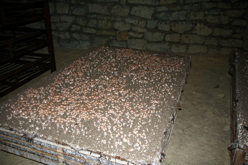 09-011.JPG