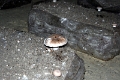 09-012