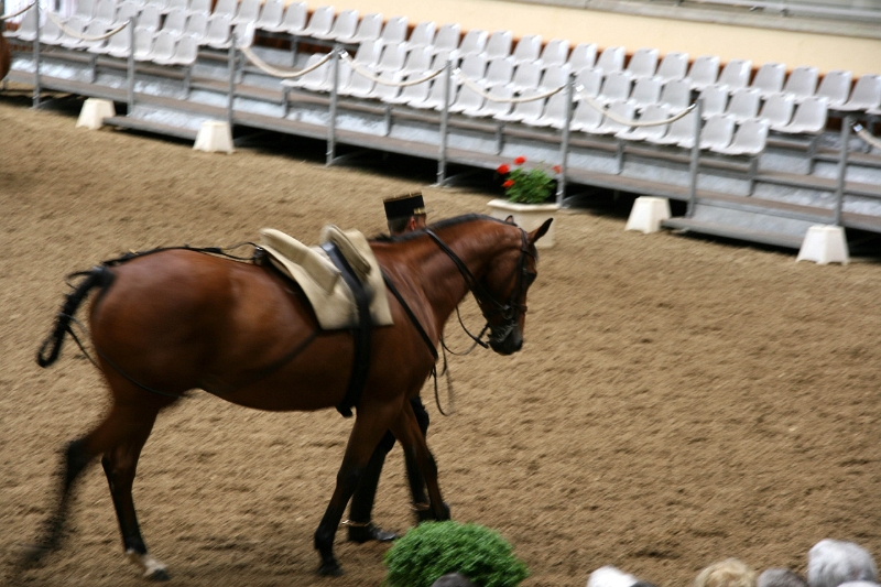 12-005.JPG