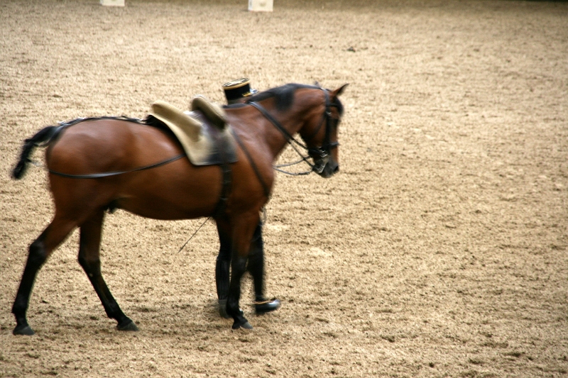 12-006.JPG
