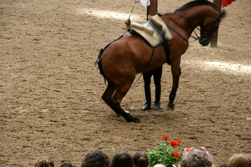 12-009.JPG