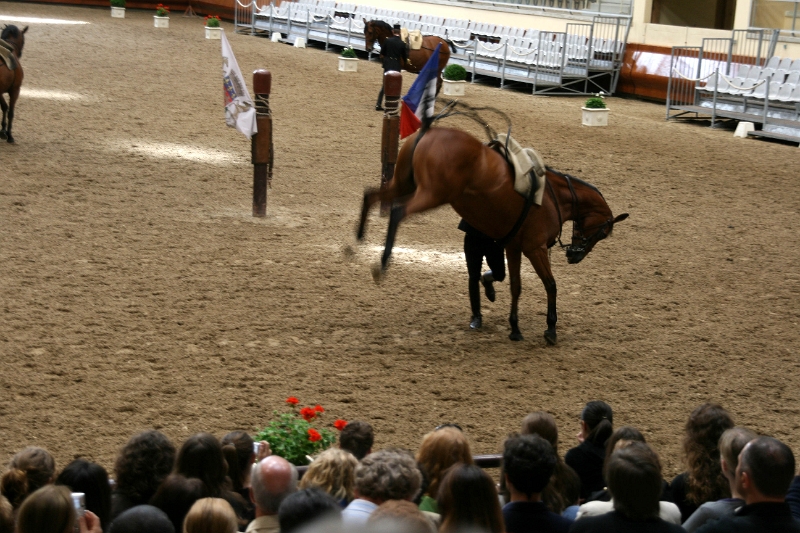 12-010.JPG