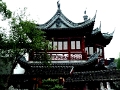jardin-yu_025