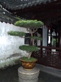 jardin-yu_044