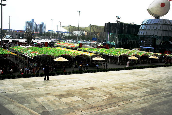 expo_016.JPG - L'attente pour accéder au pavillon de la Chine