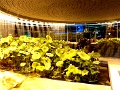 expo_055