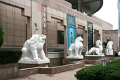musee_shang_168