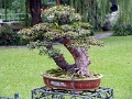 rest-can_005