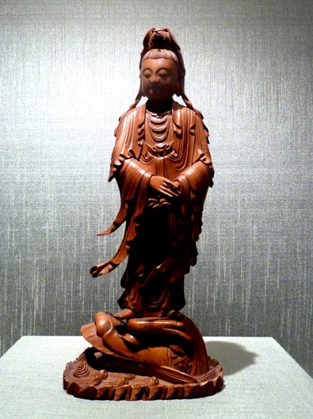 mus_sus_062.JPG