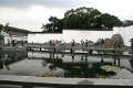 mus_sus_001