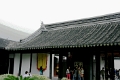 mus_sus_003