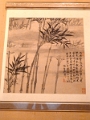 mus_sus_007
