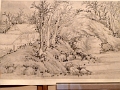 mus_sus_008