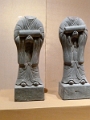 mus_sus_044