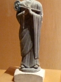 mus_sus_045