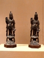mus_sus_046