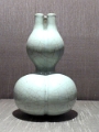 mus_sus_052