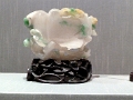 mus_sus_056