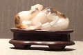 mus_sus_057