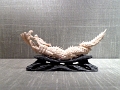 mus_sus_063
